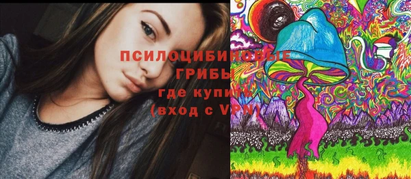 а пвп мука Абдулино