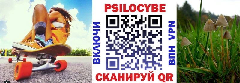 Галлюциногенные грибы Psilocybe  дарнет шоп  Уварово 